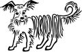Longhiar Terrier Mixed Breed Dog