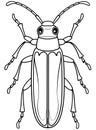 Longhorn beetle insect illustration for science and coloring fun Royalty Free Stock Photo