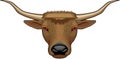 Longhorn Bull Head Illustration
