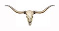 Longhorn skull with horns Royalty Free Stock Photo