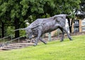 Longhorn Steer bronze sculpture by Anita Pauwels, part of  a public art installation titled `Cattle Drive` in Central Park Royalty Free Stock Photo