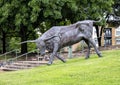 Longhorn Steer bronze sculpture by Anita Pauwels, part of a public art installation titled `Cattle Drive` in Central Park