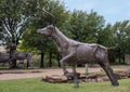 Longhorn Steer bronze sculpture by Anita Pauwels, part of a public art installation titled `Cattle Drive` in Central Park