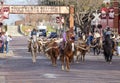 Longhorns cattle drive at the Fort Worth Stockyards. Royalty Free Stock Photo