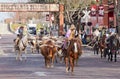 Longhorns cattle drive at the Fort Worth Stockyards. Royalty Free Stock Photo