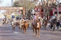 Longhorns cattle drive at the Fort Worth Stockyards. Royalty Free Stock Photo