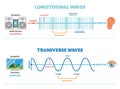 Longitudinal and Transverse wave type, vector illustration scientific diagram. Sonic and visual perception principle.