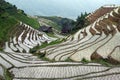 Longji rice terraces Royalty Free Stock Photo
