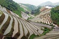 Longji rice terraces Royalty Free Stock Photo
