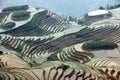 Longji rice terraces, China