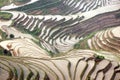 Longji rice terraces, China