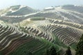 Longji rice terraces, Guangxi province, China Royalty Free Stock Photo