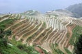 Longji rice terraces Guangxi province China Royalty Free Stock Photo
