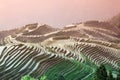 Longji rice terraces, Guangxi province, China Royalty Free Stock Photo