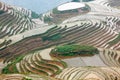 Longji rice terraces, Guangxi province, China