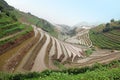 Longji rice terraces, Guangxi province Royalty Free Stock Photo