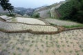 Longji rice terraces, Guangxi province, Royalty Free Stock Photo