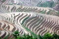 Longji rice terraces, Guangxi province, China Royalty Free Stock Photo