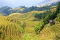 Longji rice terraces in Guangxi province, China Royalty Free Stock Photo