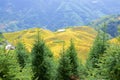 Longji rice terraces in Guangxi province, China Royalty Free Stock Photo