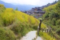 Longji rice terraces in Guangxi province, China Royalty Free Stock Photo