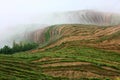 Longji terrace with fog ,Guilin