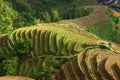 Longji terrace , Guilin