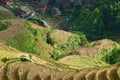 Longji terrace ,Guilin