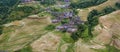 Longji terrace rice field,Aerial photography