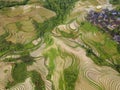 Longji terrace rice field,Aerial photography