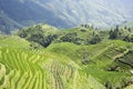 Longji Terraced Rice Fields