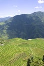 Longji Terraced Rice Fields