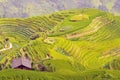 Longji terraces rice fields near Guilin, Guangxi, China