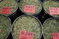 Longjing tea field in Hangzhou Royalty Free Stock Photo