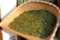 The longjing tea, hangzhou, China Royalty Free Stock Photo