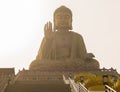 The most large sitting Buddha statue in the word on a lotus flower