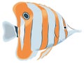 longnose butterfly fish vector illustration transparent background