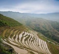 Longsheng paddy fields in China Royalty Free Stock Photo