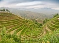 Longsheng paddy fields in China Royalty Free Stock Photo