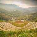 Longsheng paddy fields in China Royalty Free Stock Photo