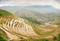 Longsheng paddy fields in China Royalty Free Stock Photo