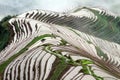 Longsheng Rice Terraces; Chiana Royalty Free Stock Photo