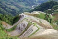 Longsheng Rice Terraces; China