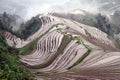 Longsheng Rice Terraces; China Royalty Free Stock Photo