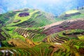 Wide angle view over the Longsheng Rice Terraces. China Royalty Free Stock Photo