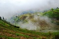 Mist lingering along the Longsheng Rice Terraces China Royalty Free Stock Photo