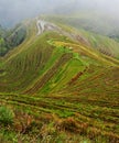 Longsheng Rice Terraces in the mist Royalty Free Stock Photo