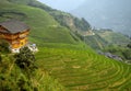 Longsheng Rice Terraces near Guilin, Guangxi region of China Royalty Free Stock Photo