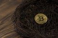 Longterm Bitcoin Investment concept. bitcoin in nest close up Royalty Free Stock Photo