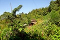 Wodden long house in Longwa tribal village, Mon, Nagaland, India, Myanmar